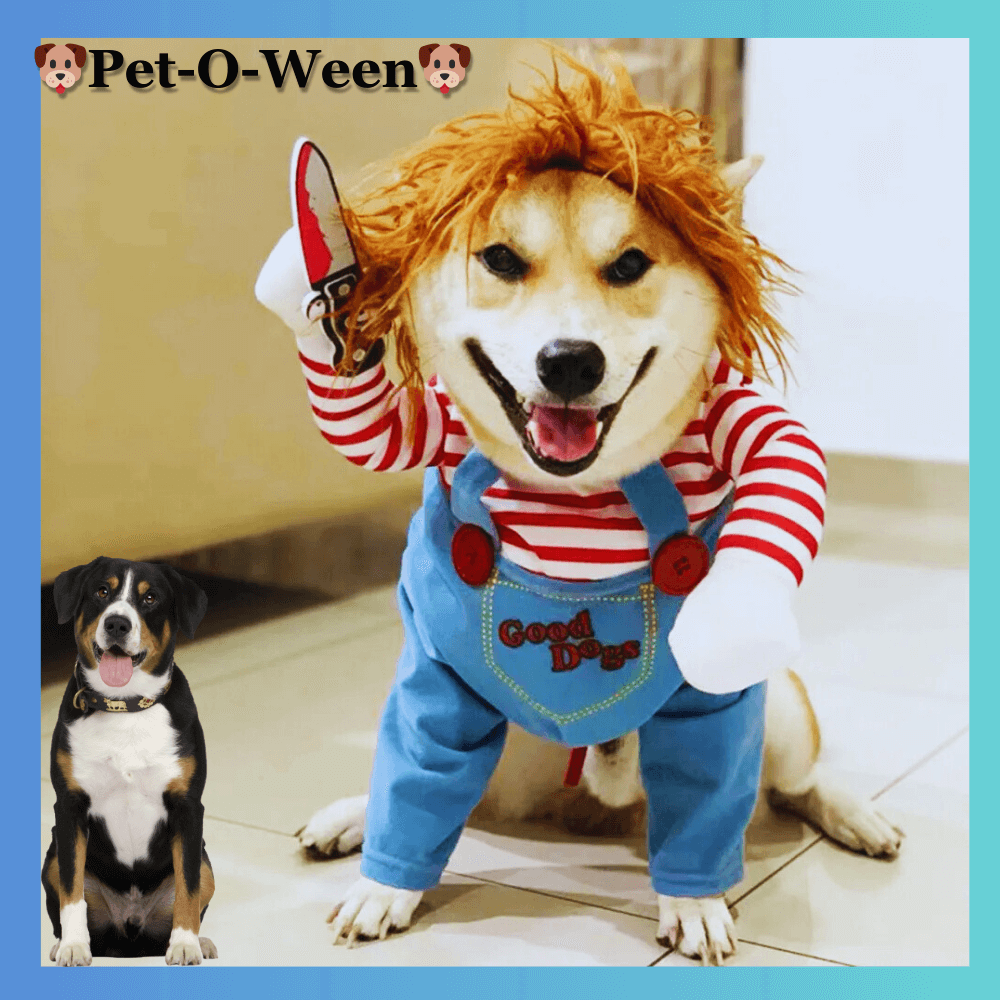 🐶Pet-O-Ween🐶 - Dbestey