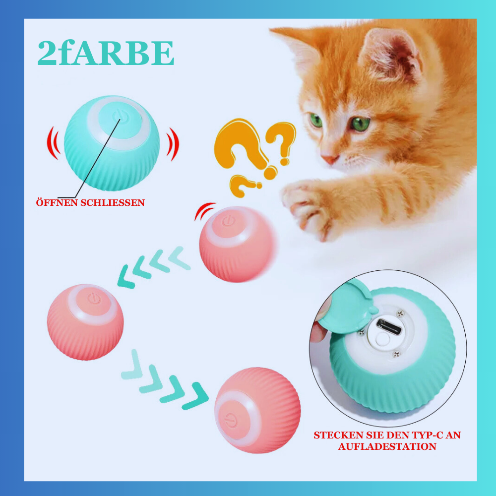 😻CleverKatz😻 - Dbestey
