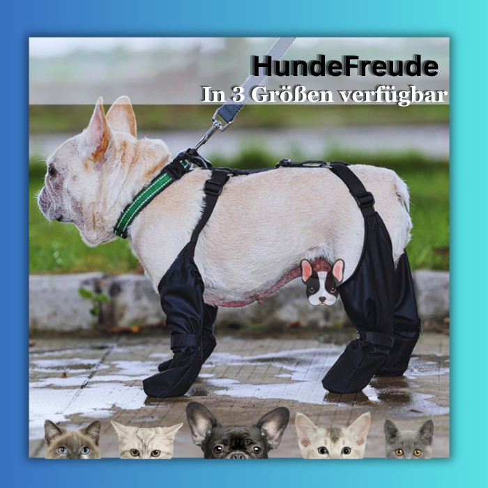 Hundefreude Pfotenschutzschuhe - Dbestey