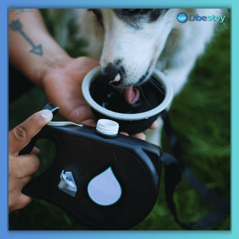 ProPaws Deluxe Leine - Dbestey