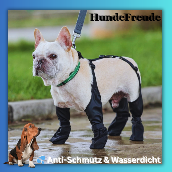 Hundefreude Pfotenschutzschuhe - Dbestey