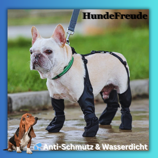 Hundefreude Pfotenschutzschuhe - Dbestey