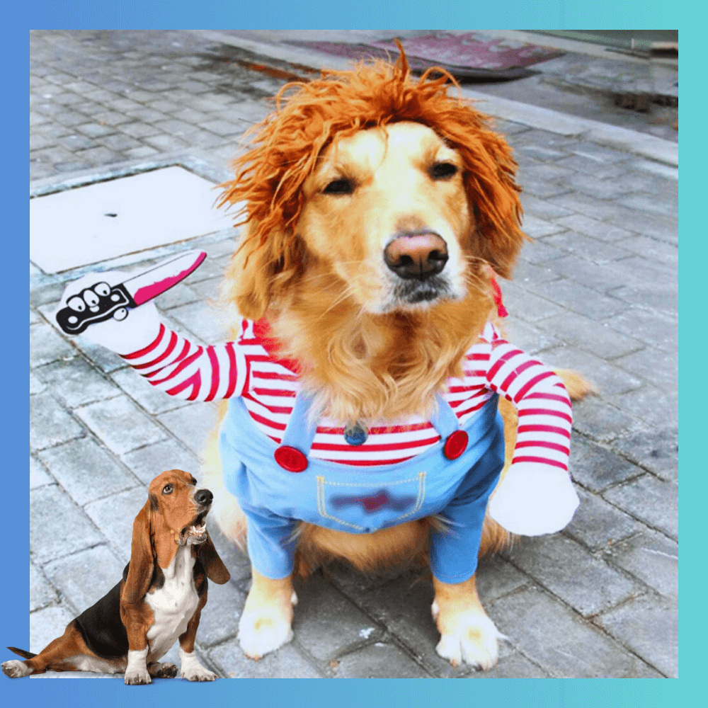 🐶Pet-O-Ween🐶 - Dbestey