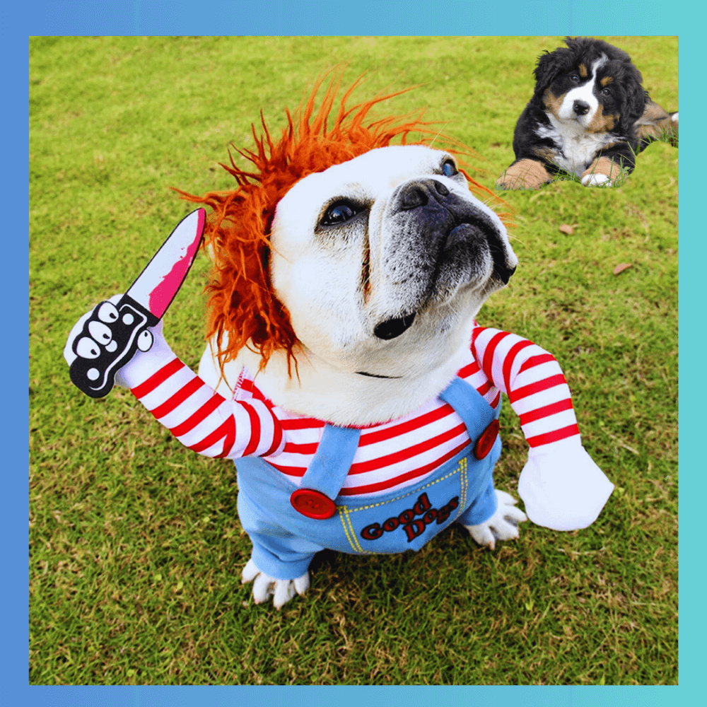 🐶Pet-O-Ween🐶 - Dbestey