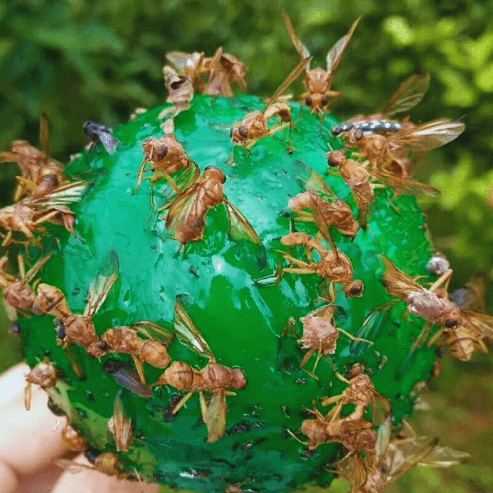 "Fly Sphere" - Dbestey