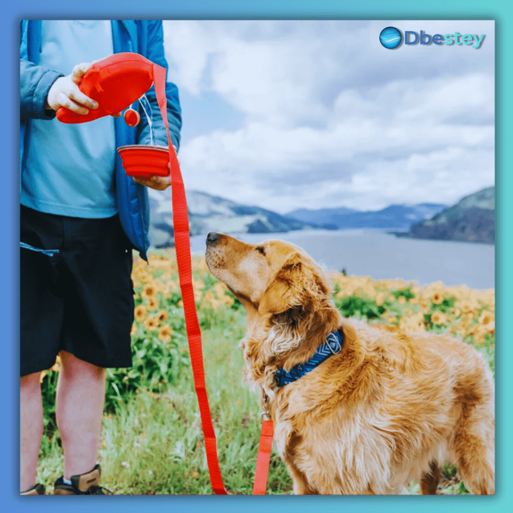 ProPaws Deluxe Leine - Dbestey