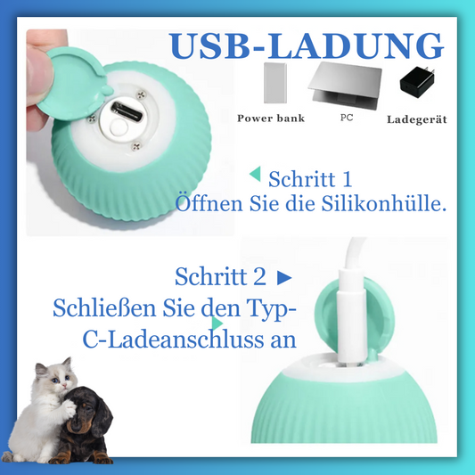 CleverKatz Rollender Ball: Die Jagd Beginnt! - Dbestey